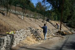 landscape-IMG_4100.jpg-scaled