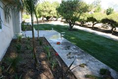 landscaping-IMG_3650-scaled