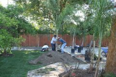 landscaping-IMG_3655-scaled